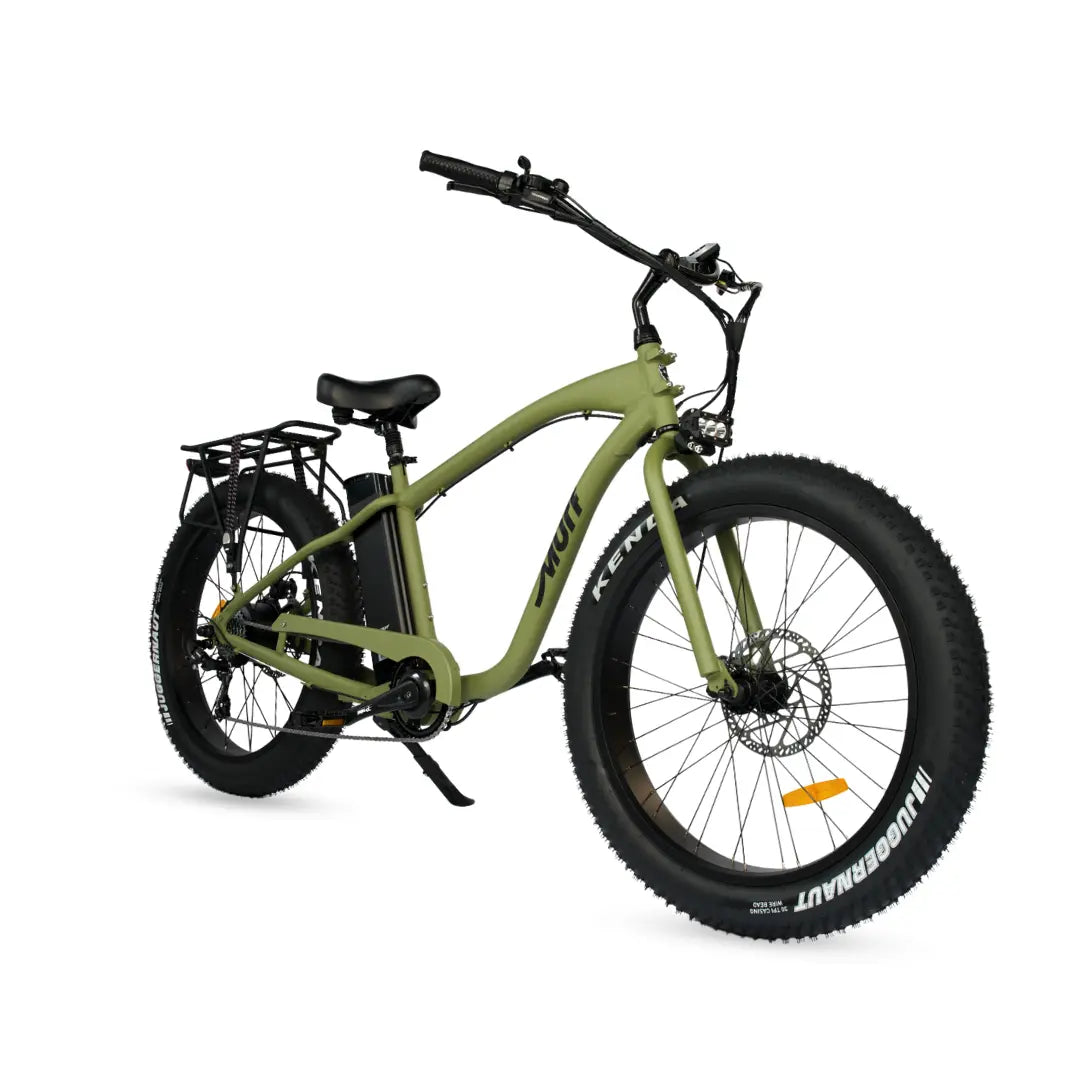 FAT MURF ELECTRIC BIKE Murf