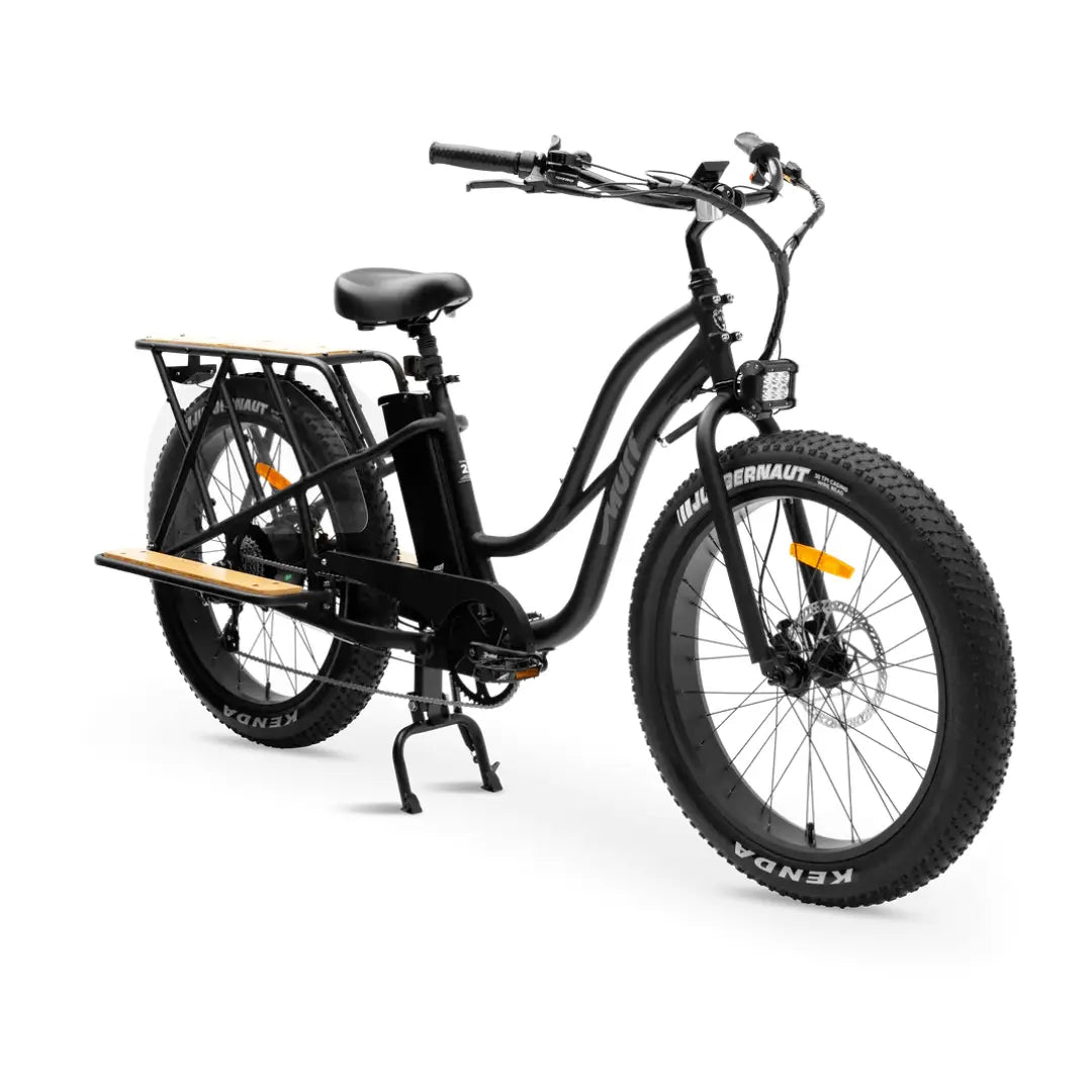family cargo electric bike