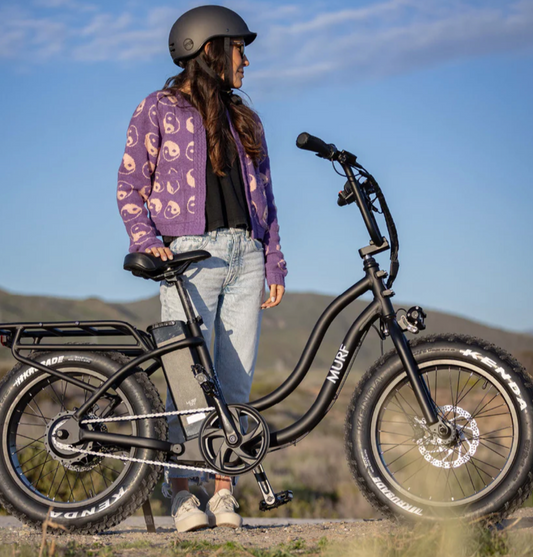 What’s the Difference Between Cheap and Expensive E-Bikes?