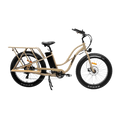 Electric Bikes