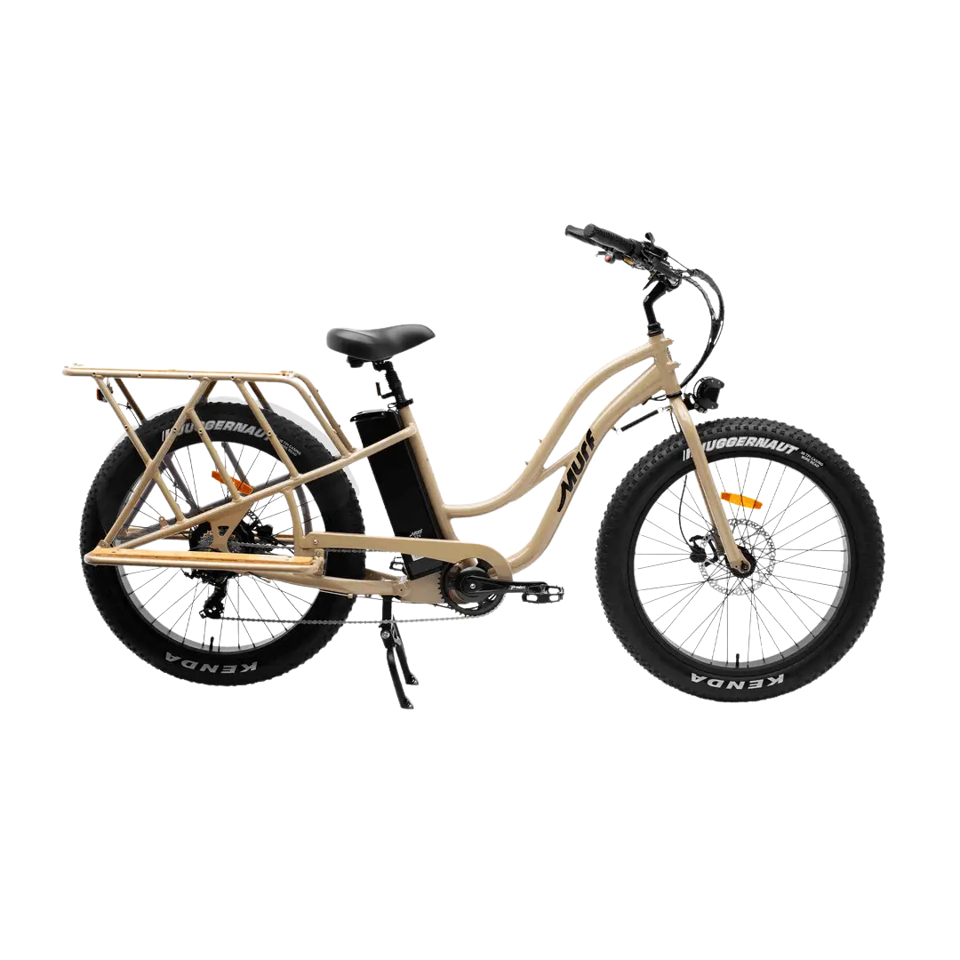 Electric Bikes