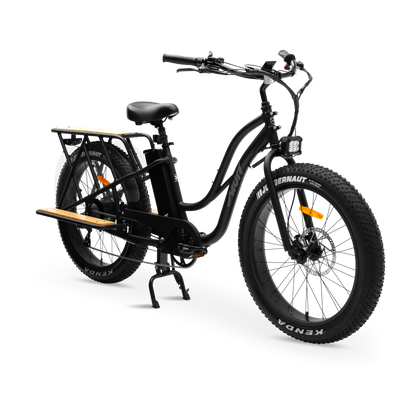 ALPHA CARGO ELECTRIC BIKE