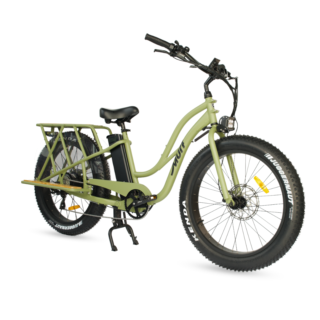 ALPHA CARGO ELECTRIC BIKE