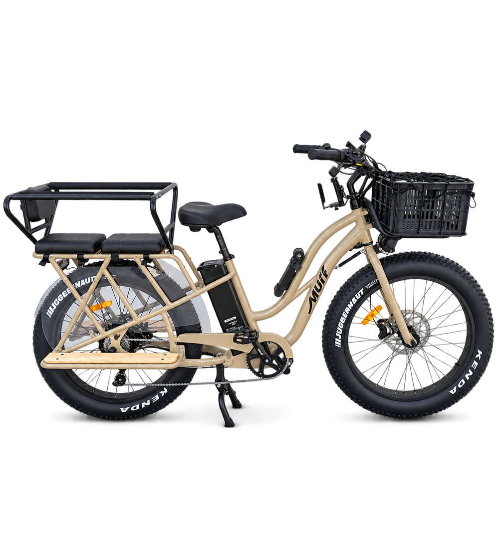E-bike for the entire family 
