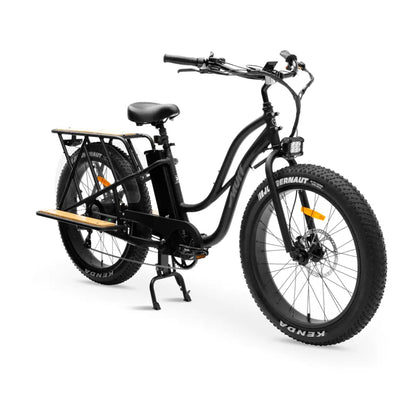  family cargo electric bike