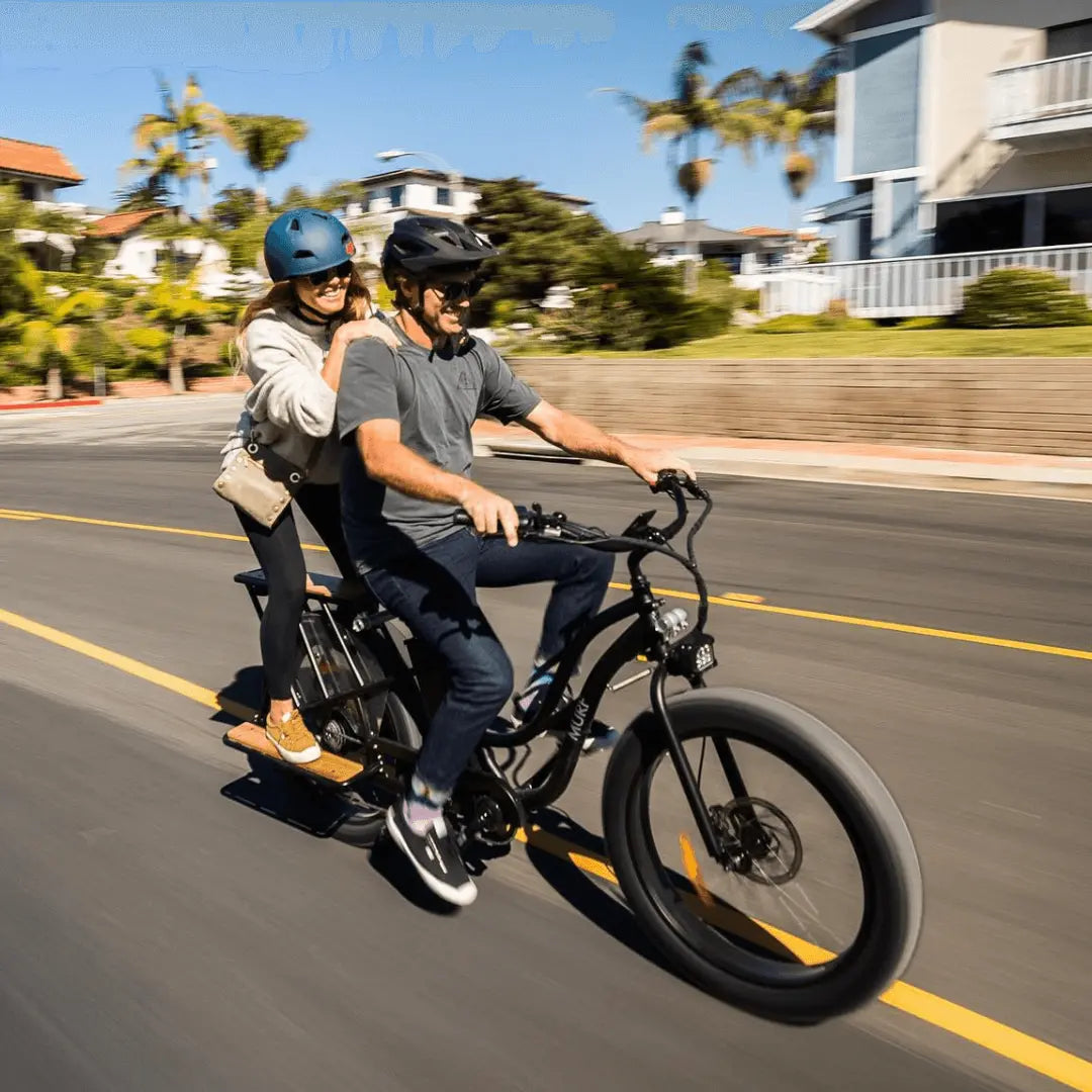 ALPHA CARGO ELECTRIC BIKE Murf