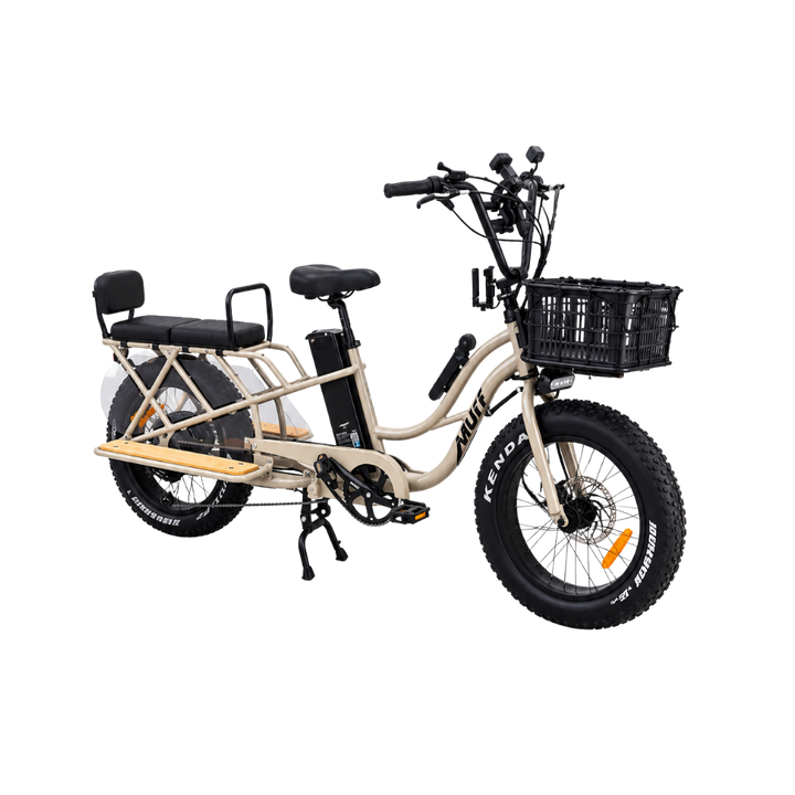 Higgs Cargo Passenger Bundle