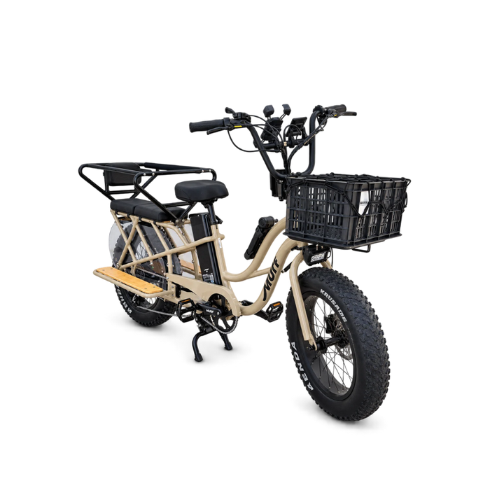 Higgs Cargo Family Bundle