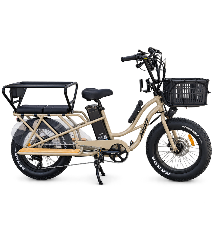 Higgs Cargo Family Bundle