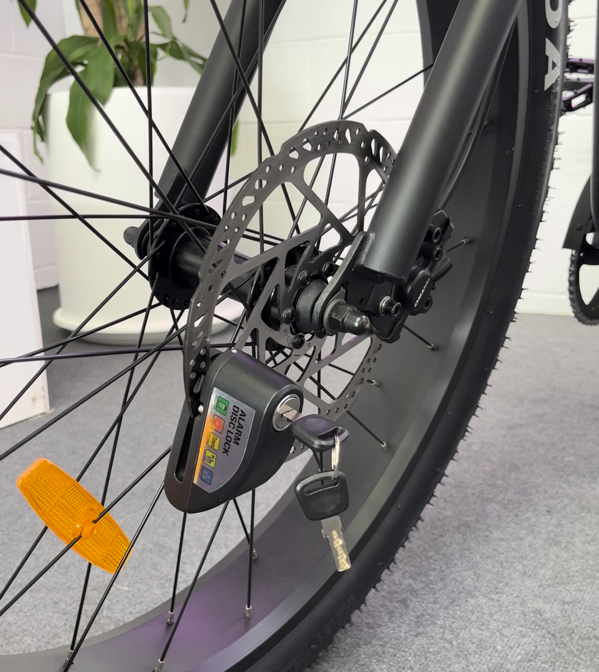 Alarm Disc Lock
