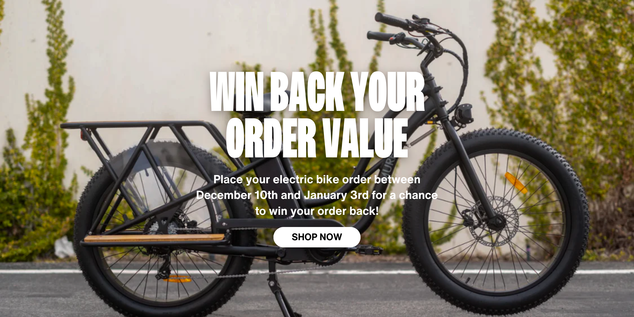 Murf electric bike for sale discount