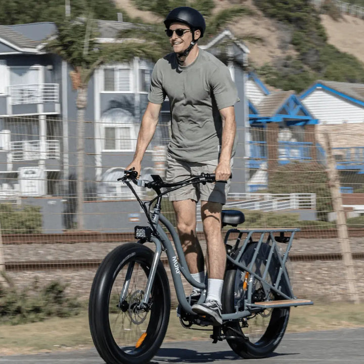 ALPHA CARGO ELECTRIC BIKE Murf