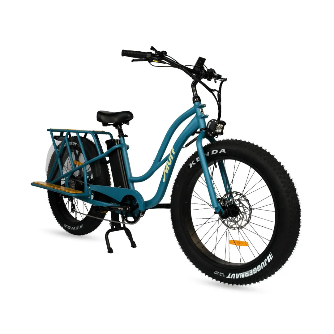  family cargo electric bike