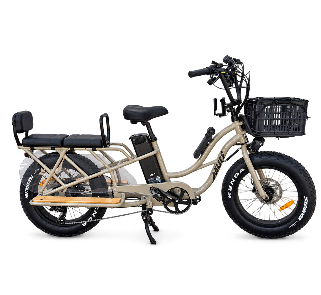 Higgs Cargo Passenger Bundle