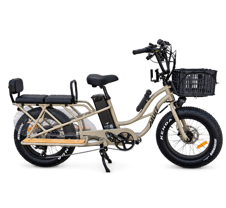 Higgs Cargo Passenger Bundle